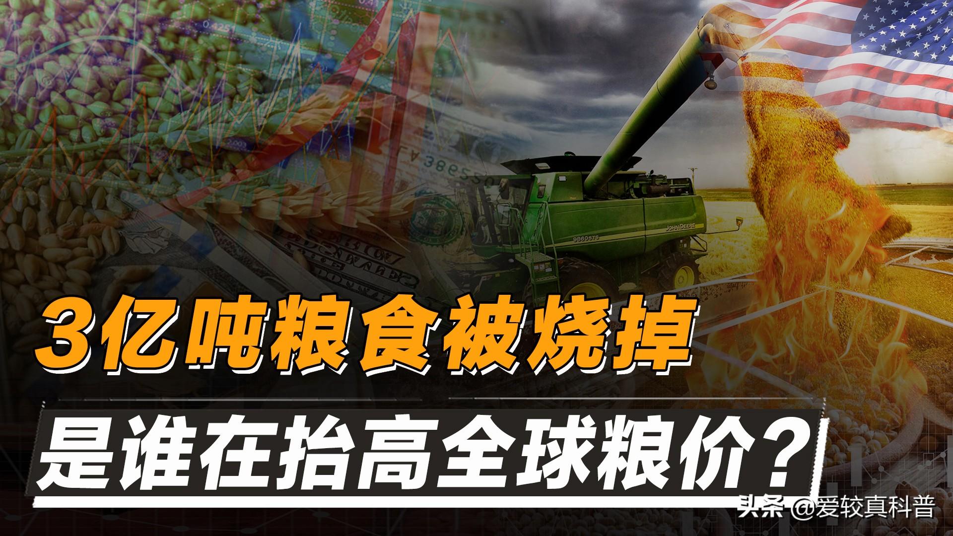 荒唐的能源陷阱！3亿吨主粮被烧掉，生物燃料才是粮食危机元凶