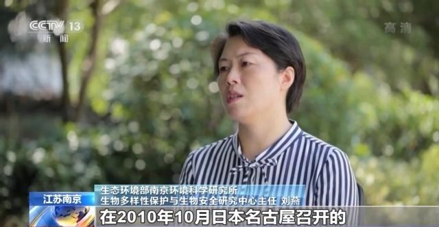 划重点！什么是《生物多样性公约》？“爱知目标” 中国履约成绩如何？来听专家解读→
