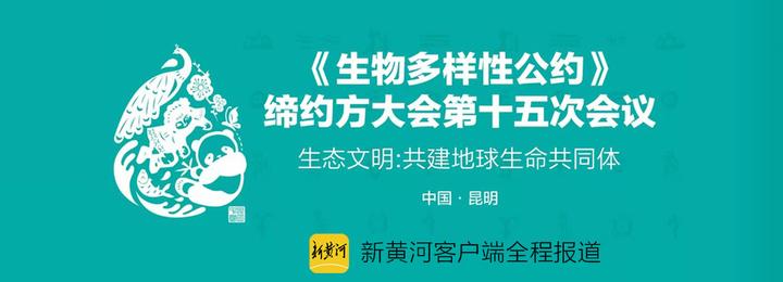 关于《生物多样性公约》，你想问的都在这里
