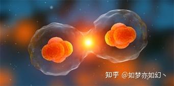 2023十大生物技术发展