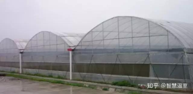 生物菌肥排名_生物菌肥哪种最好及价格_好的生物菌肥都有哪些品牌