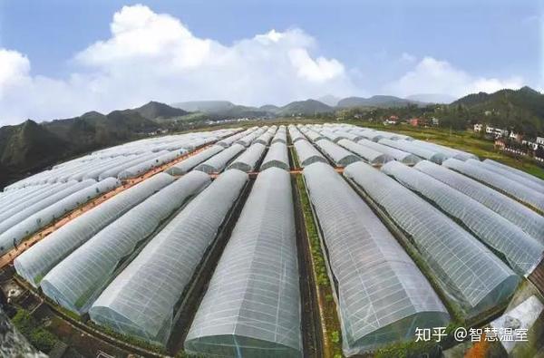 好的生物菌肥都有哪些品牌_生物菌肥排名_生物菌肥哪种最好及价格