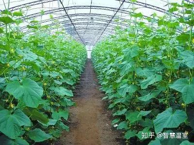 生物菌肥哪种最好及价格_生物菌肥排名_好的生物菌肥都有哪些品牌