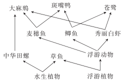 基因工程大题及解析_生物基因工程大题_生物基因工程题目