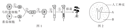 生物基因工程题目_生物基因工程大题_基因工程大题及解析