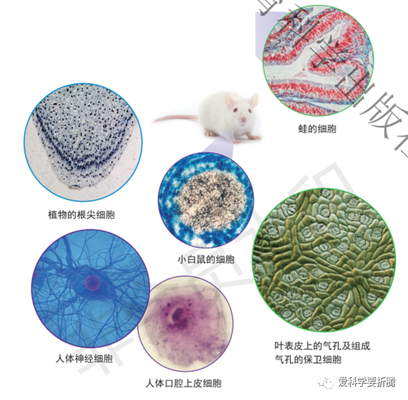球体知识点总结_球体相关知识_球体的知识点