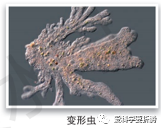 球体的知识点_球体知识点总结_球体相关知识