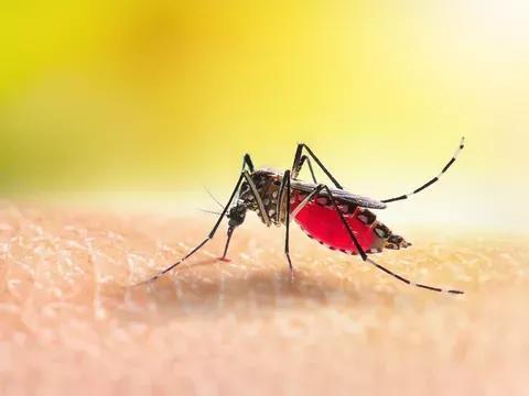 短暂生物生命是什么意思_短暂生物生命是指什么_生命最短暂的生物是什么