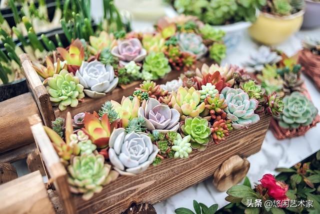 简单才是生活的真谛_简单生活的真谛_真谛简单生活是什么意思