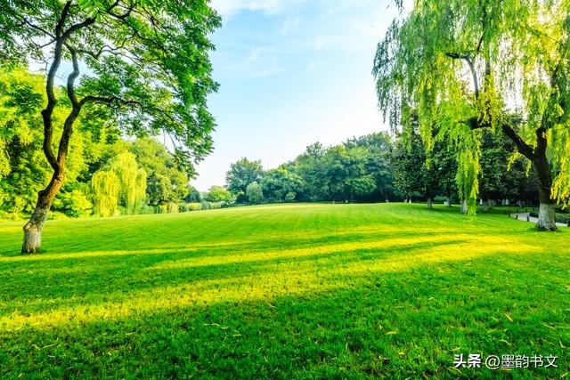 简单才是生活的真谛_真谛简单生活是谁写的_真谛简单生活是什么歌