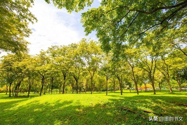 简单才是生活的真谛_真谛简单生活是什么歌_真谛简单生活是谁写的
