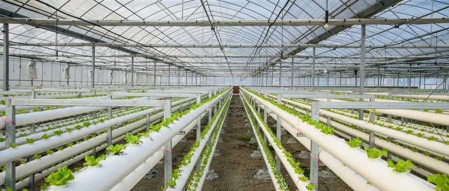 生物防治和生物农药的关系是什么？利用生物防治不会产生抗药性吗？