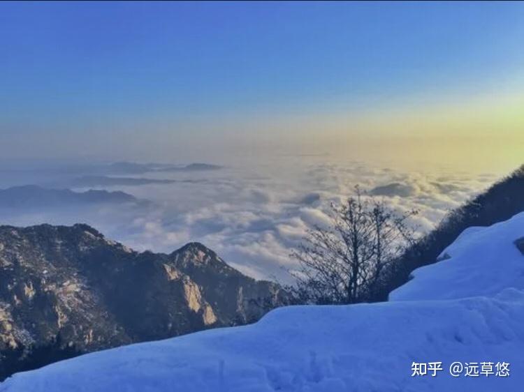 古文奇赏_奇文共欣赏出自_奇文共欣赏的奇