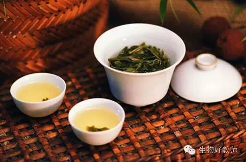 化学生物的区别_化学跟生物有关系吗_化学生物关系有几种