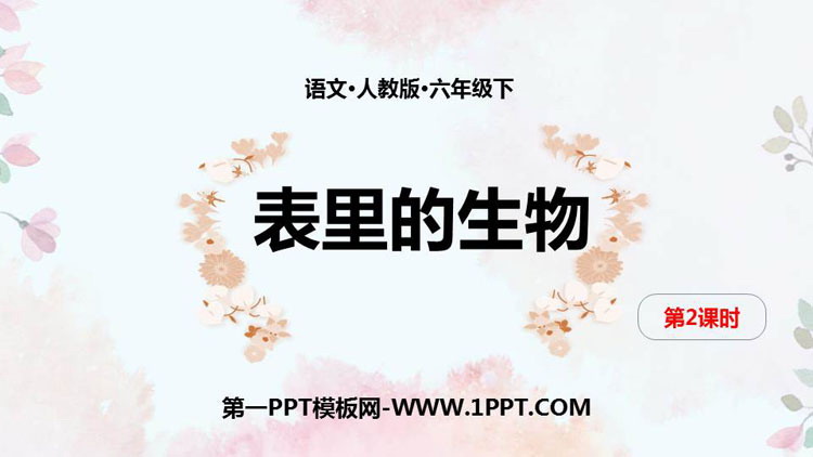 《表里的生物》PPT课件(第2课时)