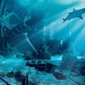 海底生物海报_海底两万里生物_底生物海苹果是一种
