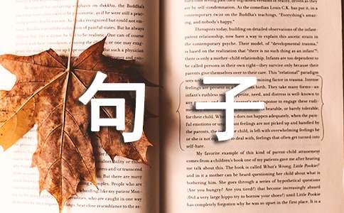 简短的生活的句子摘录89条