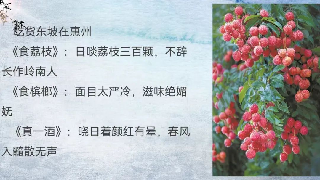 苏轼轶事奇闻有哪些_苏轼的奇闻轶事_苏轼轶事奇闻是哪一集