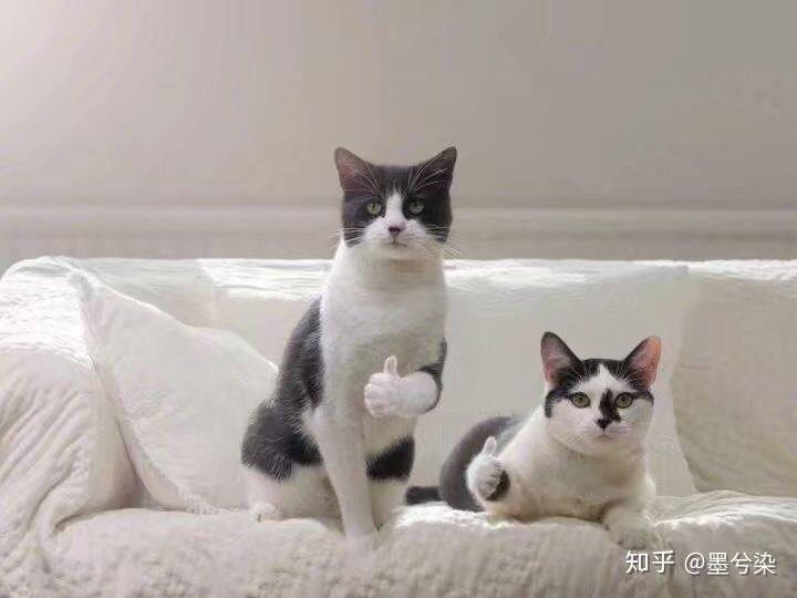 在贵州生活是什么样的一种体验?