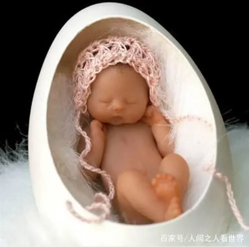 高等生物结局_人世间最高等的生物在哪_高等世间生物人物图片