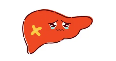 肝知识宣传图片_肝知识点思维导图_关于肝的知识