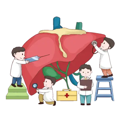 关于肝的知识_肝知识宣传图片_肝知识点思维导图