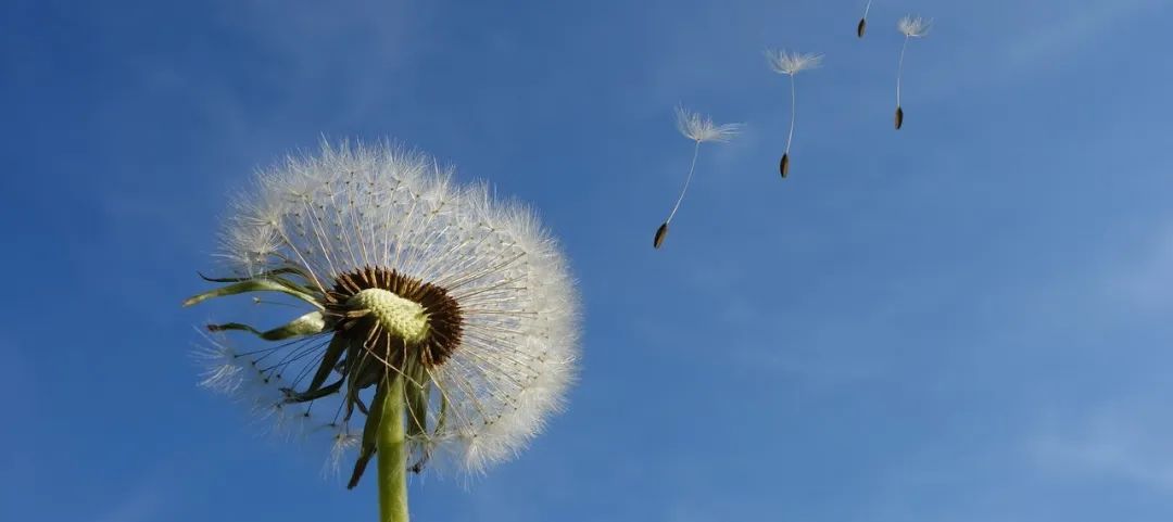 学了那么多育儿知识，都错了