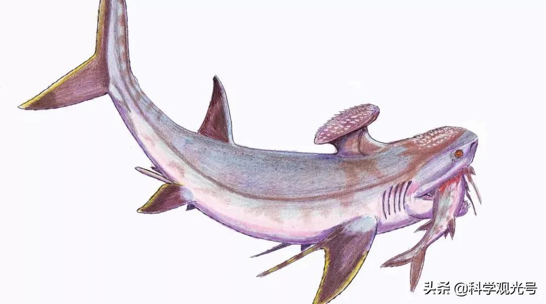 远古海洋最深处，都曾存在过哪些可怕的生物？谁才是最终的王者