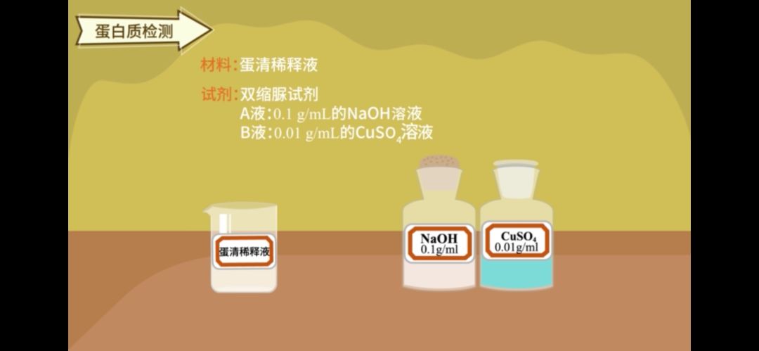 生物是有机物吗_生物的有机物是什么_生物的什么机