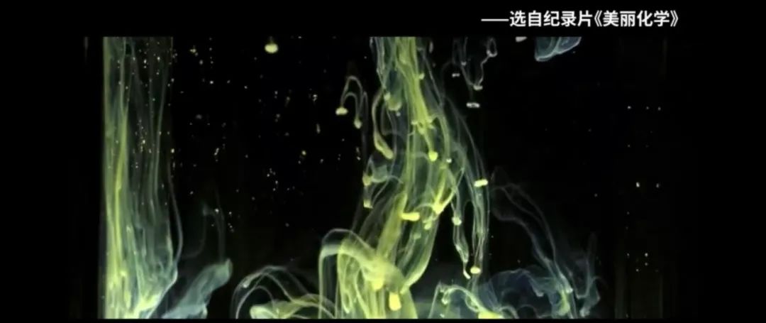 生物是有机物吗_生物的有机物是什么_生物的什么机