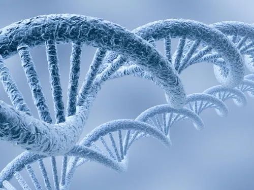 生物工程：传说中的“高精尖”专业