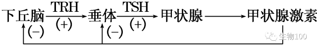 高中生物5大模块知识点精编！