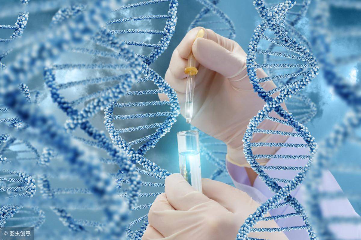 高考生物难重点：生物的遗传和变异知识详解！