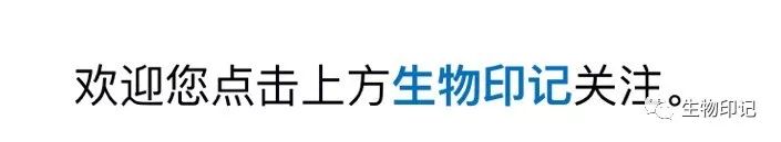 人教版高中生物新教材选择性必修2《生物与环境》 第4章  第2节  生物多样性及其保护