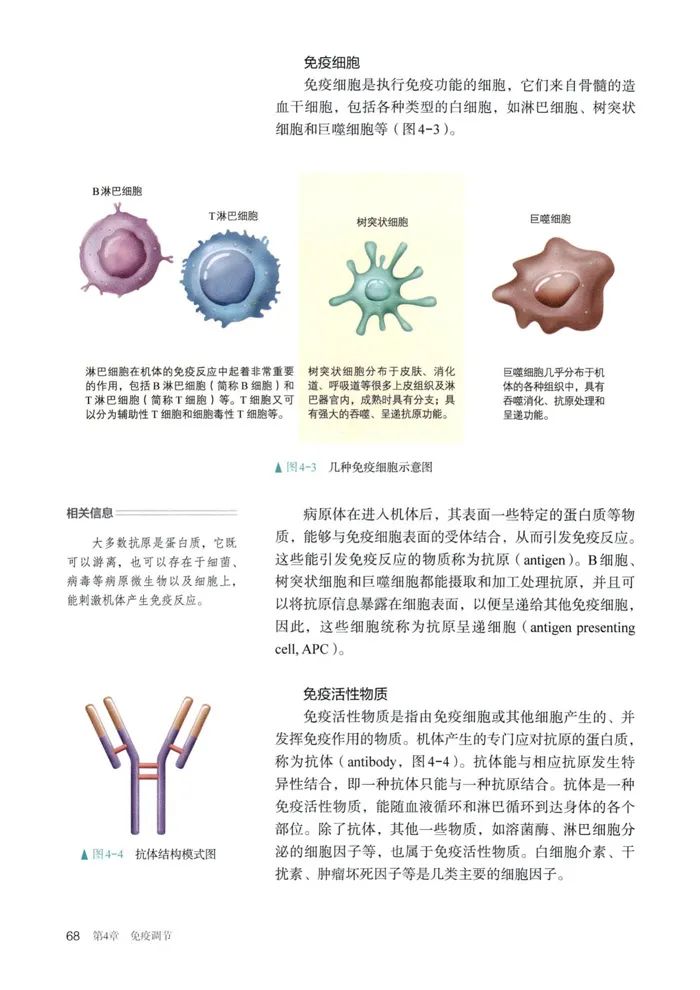 高二生物课本选择性必修一_生物选择性必修一第二章第四节_必修生物节章性选择题答案