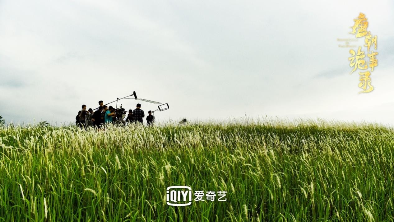 诡案奇闻全文免费阅读_诡案奇闻录_奇闻诡案