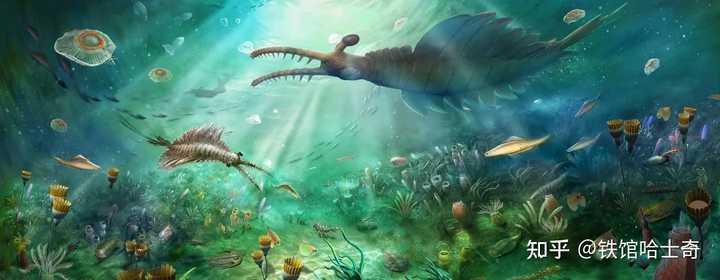 奥陶纪典型生物化石_奥陶纪生物有哪些_奥陶纪有哪些主要的生物相