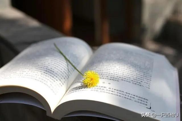 如何将书本的知识内化并学以致用？避免读完就忘？