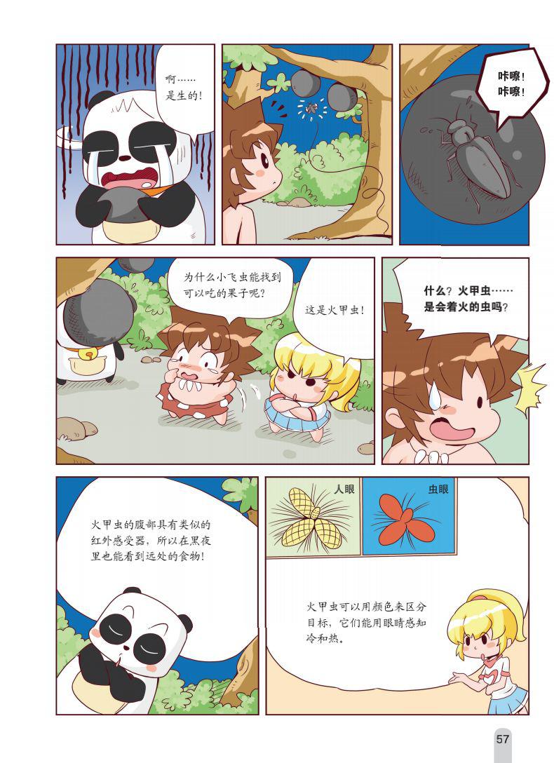科学鸟类ppt课件_科学鸟儿_鸟的科学知识