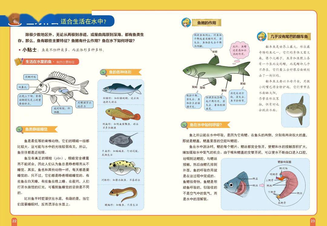 科学鸟儿_科学鸟类ppt课件_鸟的科学知识