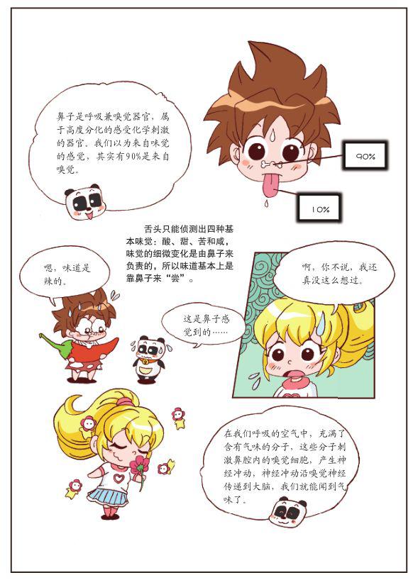 鸟的科学知识_科学鸟类ppt课件_科学鸟儿