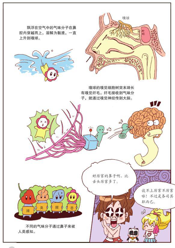 科学鸟类ppt课件_科学鸟儿_鸟的科学知识