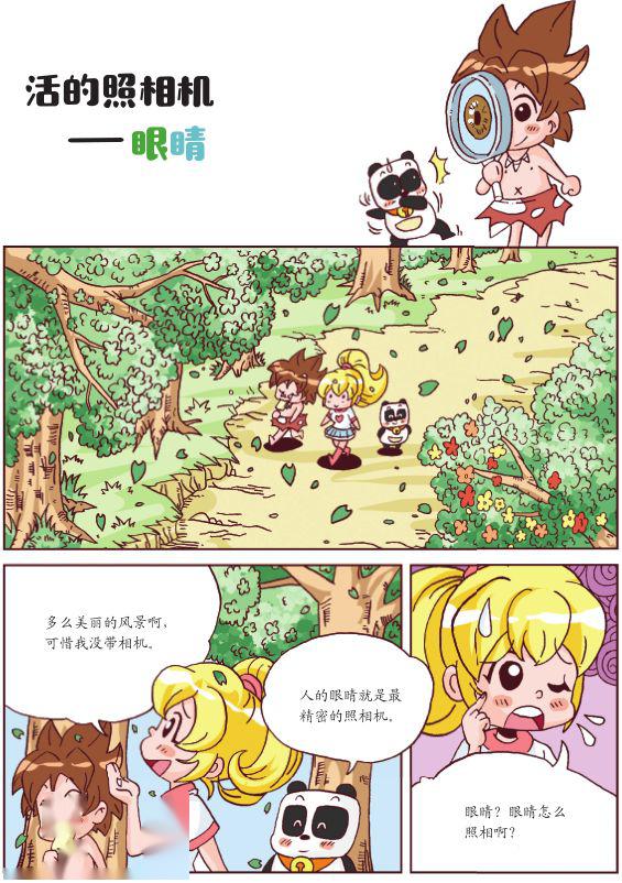 科学鸟儿_鸟的科学知识_科学鸟类ppt课件