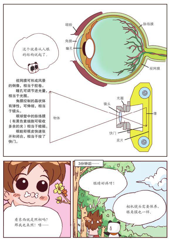 鸟的科学知识_科学鸟类ppt课件_科学鸟儿