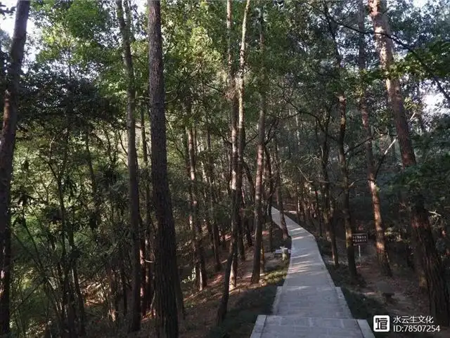 十大旷世奇文_旷世奇作_旷世奇文