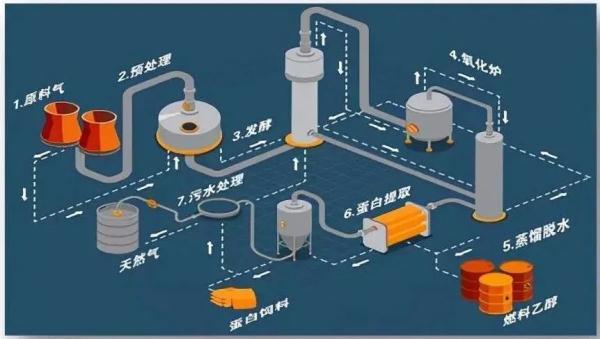 一氧化碳合成蛋白？所言非虚