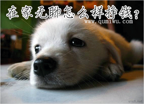 在家无聊怎样能挣钱？教你在家无聊时能挣钱的方法！
