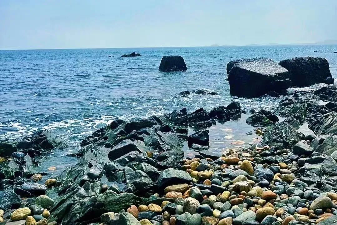 《大连赶海地图》这份宝藏攻略请收好！