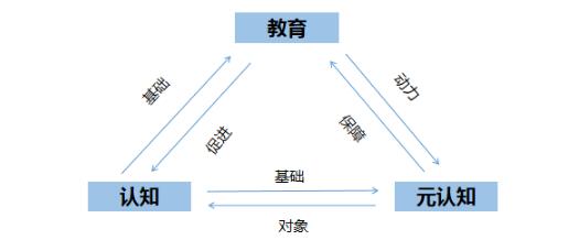 举例认知知识元素有哪些_元认知知识举例_认知的知识