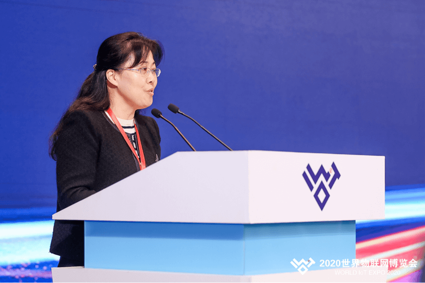 立足技术创新，预见产业发展——2020世界物联网博览会创新成果发布会暨中国企业战略投资峰会圆满落幕